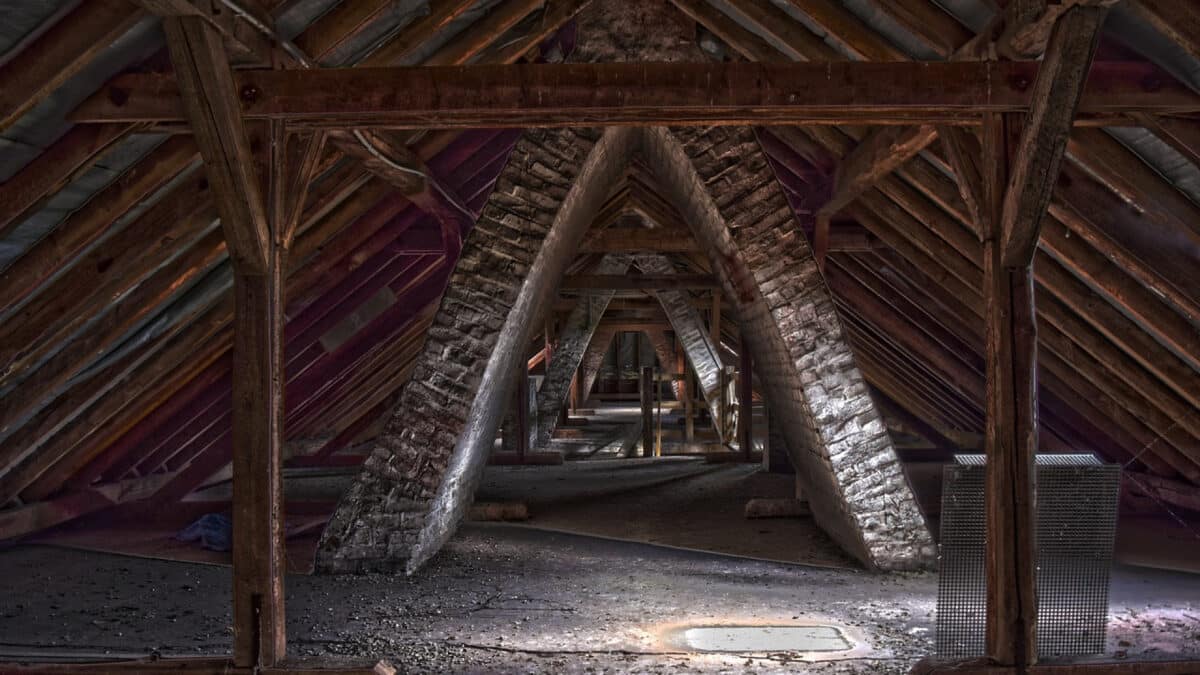 Les insectes xylophages : des ravageurs pour nos constructions