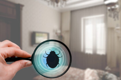 Punaises de lit à Bassens : pourquoi confier l'extermination à un spécialiste ?
