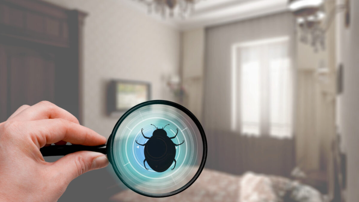 Punaises de lit à Bassens : pourquoi confier l'extermination à un spécialiste ?